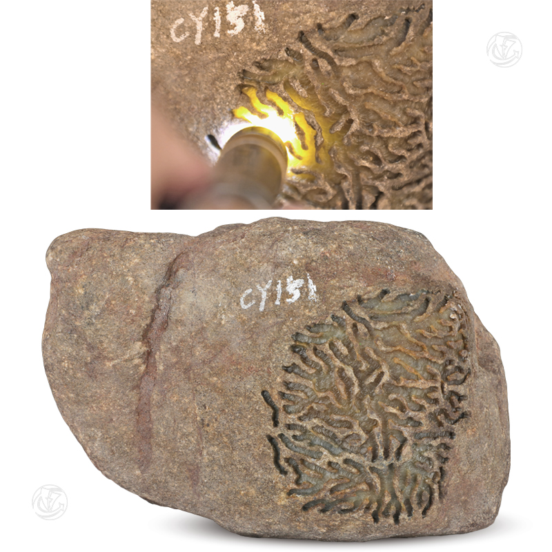 A貨翡翠黃翡原石